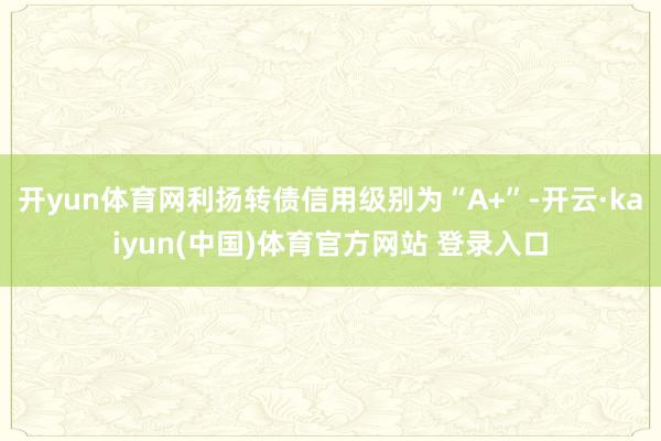 开yun体育网利扬转债信用级别为“A+”-开云·kaiyun(中国)体育官方网站 登录入口